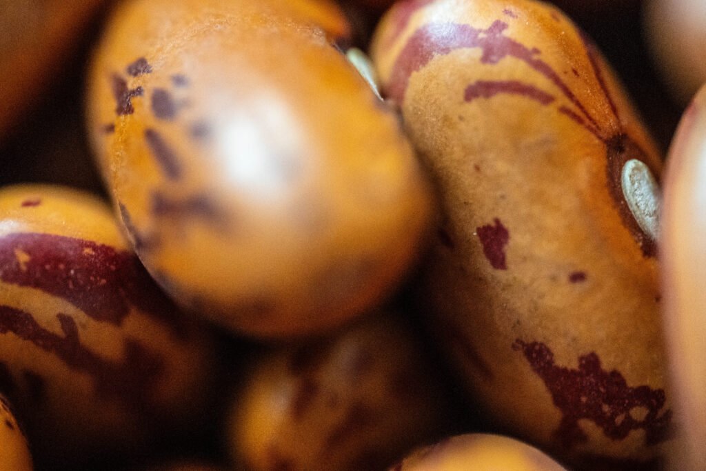Borlotti beans