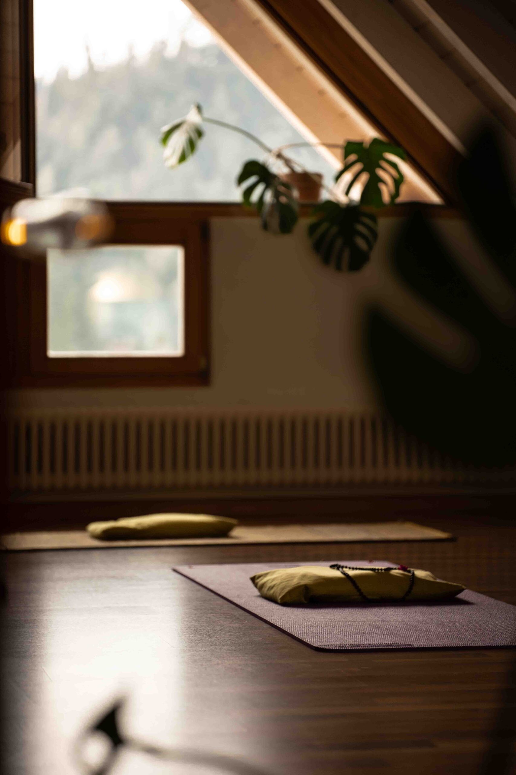 Online Yoga stream