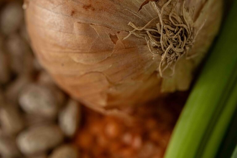My Favourite Plant-Based Recipe For Beginners