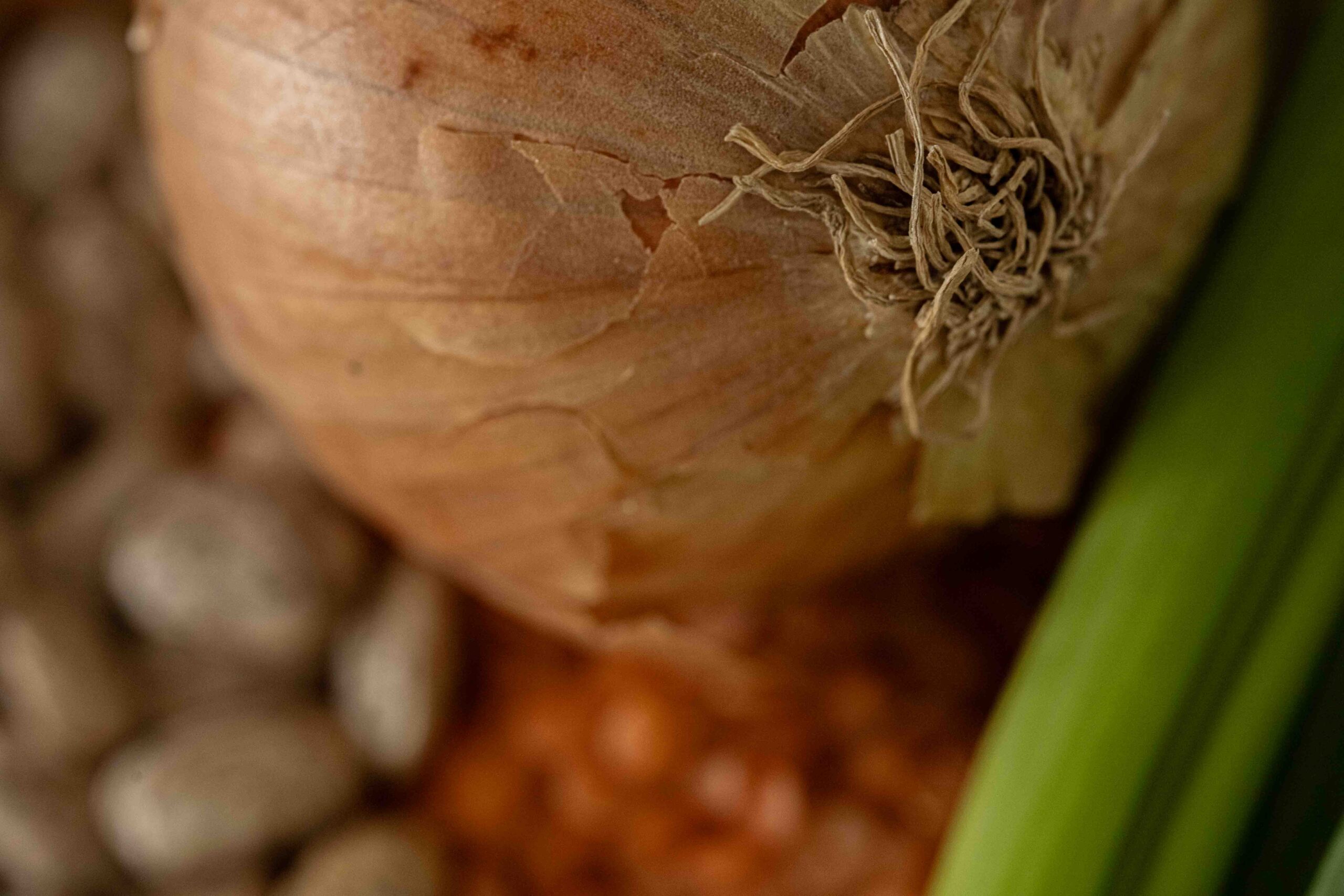 My Favourite Plant-Based Recipe For Beginners